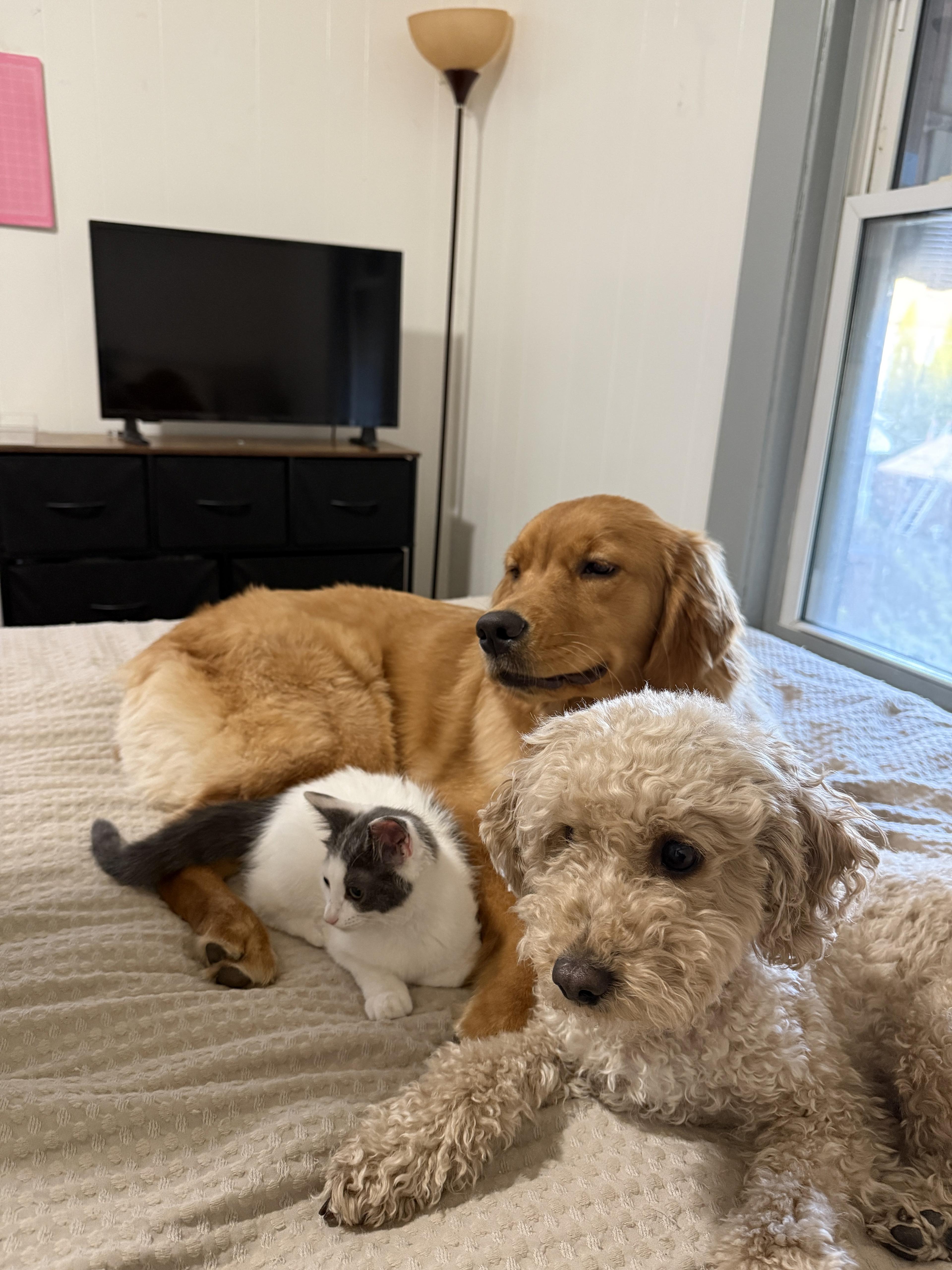 The full pack at home